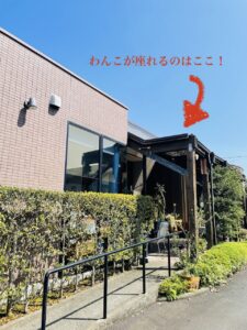 original レストランrestaurant kamakura 釜くら　釜飯　焼き鳥　犬連れ　正面